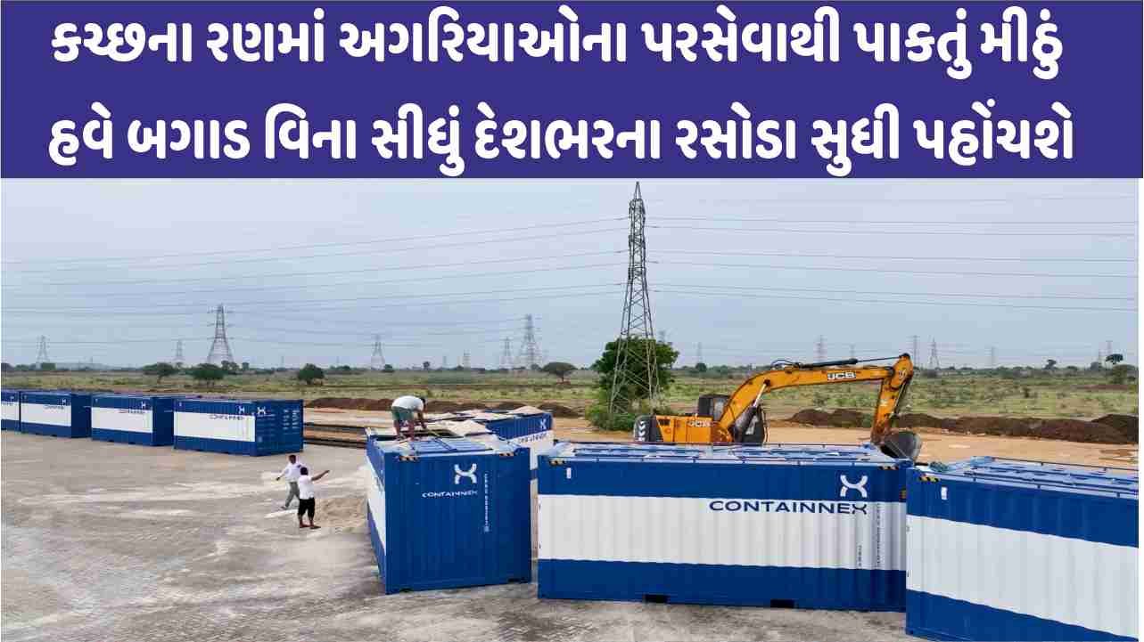 કચ્છના રણમાં અગરિયાઓના પરસેવાથી પાકતું મીઠું હવે બગાડ વિના સીધું દેશભરના રસોડા સુધી પહોંચશે