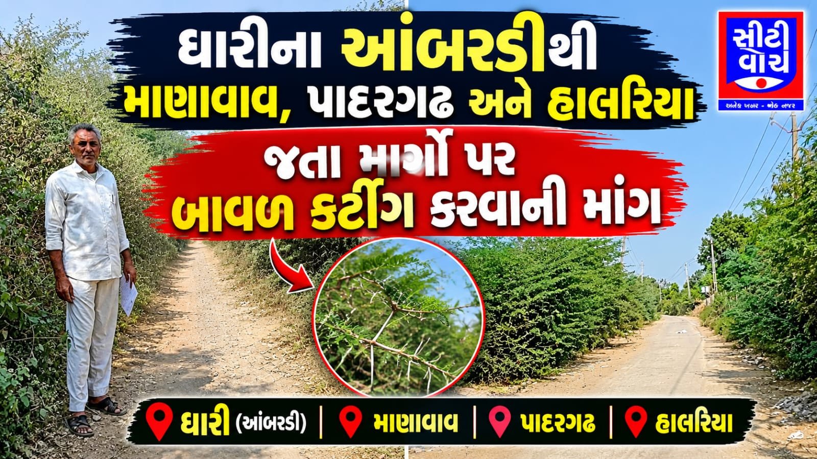 Dhari ના આંબરડીથી માણાવાવ, પાદરગઢ અને હાલરિયા જતા માર્ગો પર બાવળ કટીંગ કરવાની માંગ